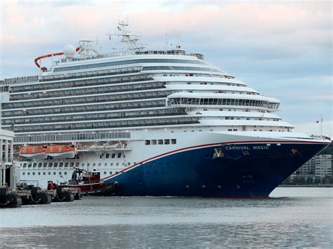 Person Cruise Ship Brawl Erupts Due To Alleged Threesome Man Of Many