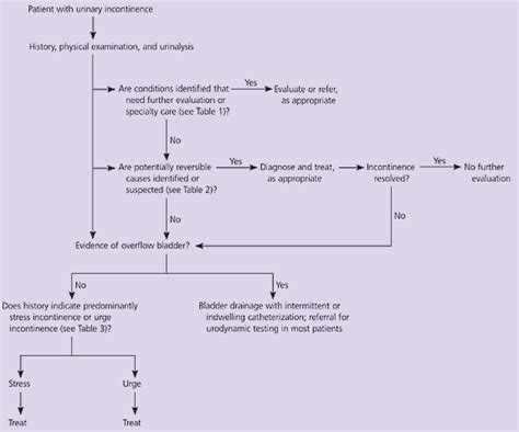 Selecting Medications For The Treatment Of Urinary Incontinence Aafp