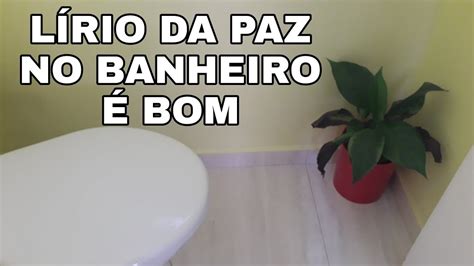 Découvrir 100 kuva quando a flor do lirio da paz fica preta