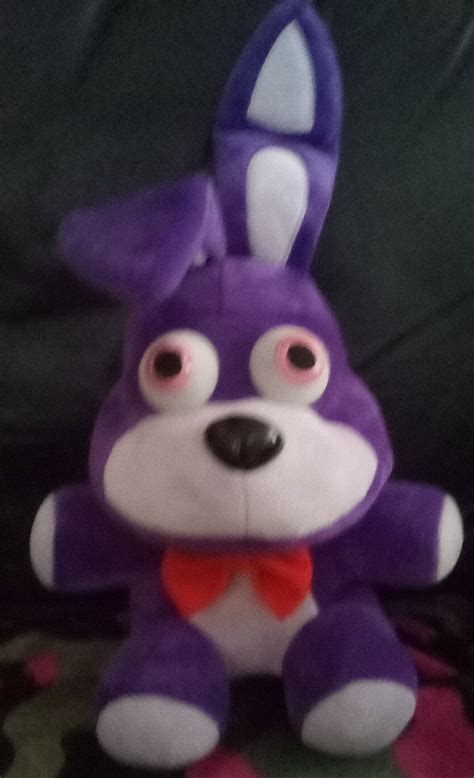 Look At My New Bonnie Plushie D Fandom