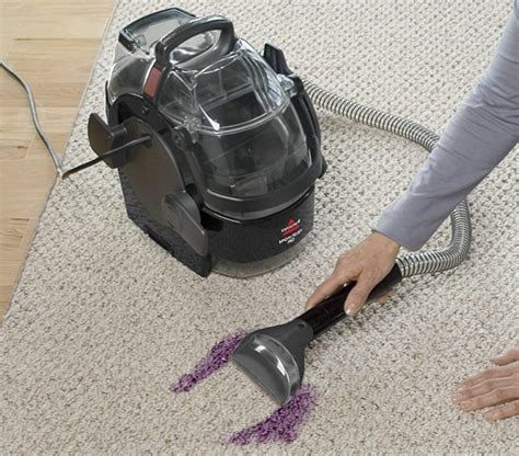 10 Best Carpet Cleaners for Pets for 2021 | Pet Territory