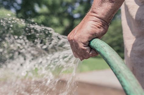 Irrigare L Orto Quando Come E Quanto Agricoltura