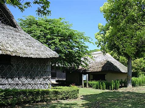 常陸風土記の丘