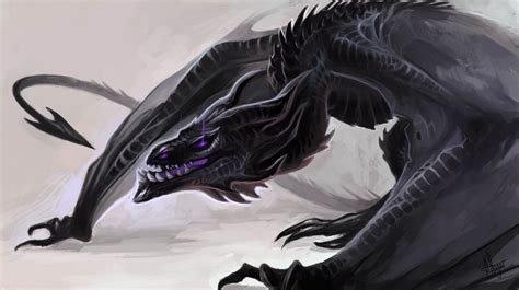 Image - Huge black dragon wyvern creature being monster yay.jpg ...