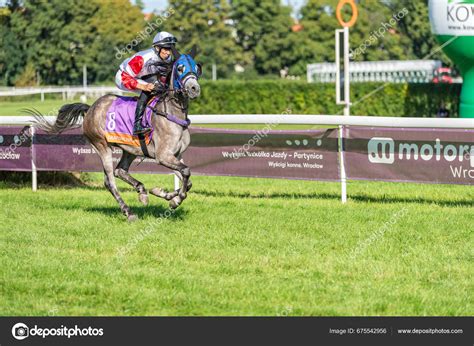 Wroclaw Poland Sep 2023 Competition Young Horses European Race Track – Stock Editorial Photo ...