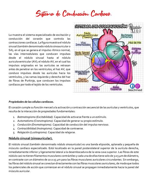 Sistema de Conducción Cardíaco Resumen La muestra el sistema