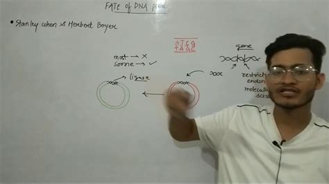 L4: Fate of DNA piece inserted in host cell/ Experiment of Stanley ...