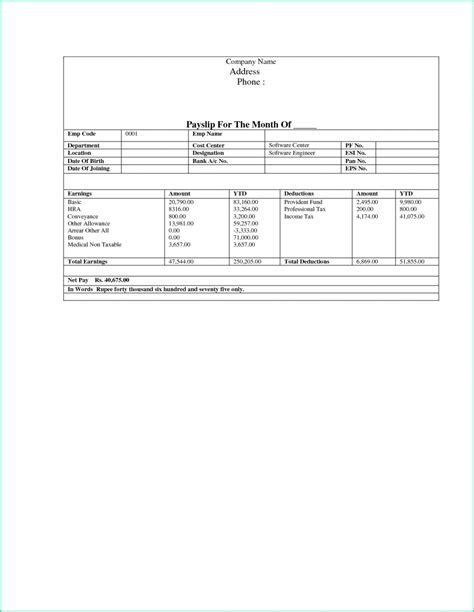 Truck Driver Pay Stub Template