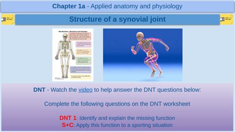 Structure Of A Synovial Joint Part 1 Gcse Physical Education Aqa Teaching Resources