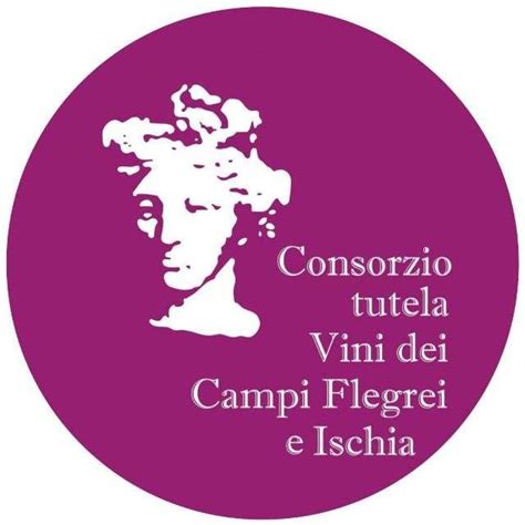 Vitivinicoltura E Sviluppo Il Convegno Del Consorzio Tutela Dei Vini