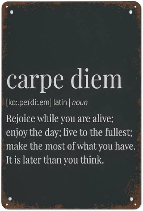 Retro Metal Tin Sign Carpe Diem Print Carpe Diem Definition