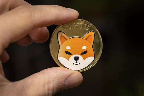 Shiba Inu Whales Kopen Voor Miljoenen Dollars Aan SHIB Tijdens De Dip