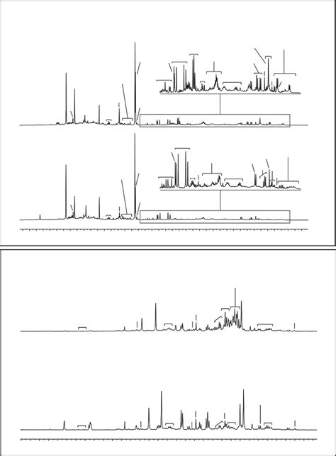 500 MHz 1 H NMR Spectrum Of Urine Obtained From 1 Before And 2 After