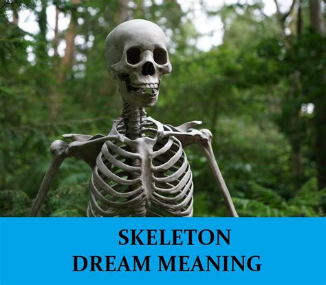 Skeleton Dream Meaning Top 32 Dreams About Skeleton Dream Meaning Net