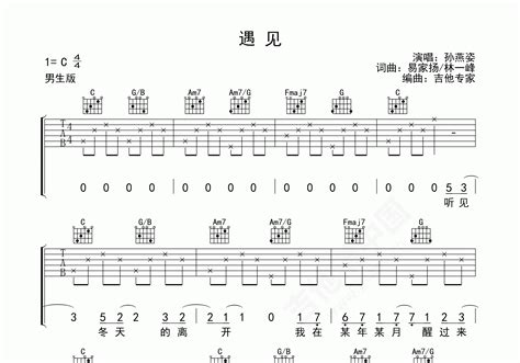 遇见吉他谱 孙燕姿 C调简单版弹唱谱 吉他谱中国