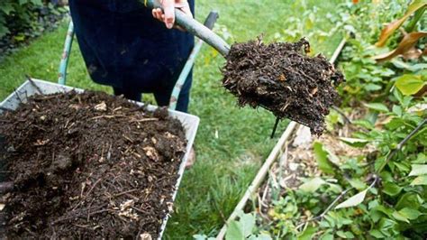 Compost 5 Règles Importantes Pour Bien Recycler Ses Déchets Organiques