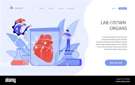 Lab Grown Organs Concept Landing Page Stock Vector Image And Art Alamy