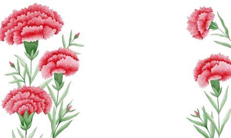 Premium Photo Watercolor Illustration Of Mothers Day Carnation