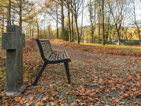 Premium Photo Bench In A Cemetery At Autumn Time