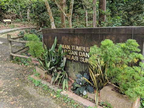 Sungai Udang Recreational Forest