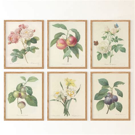 Set of 6 Prints Botanical Print Set, Wall Art Set of 6 for Vintage ...