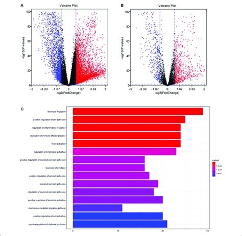 Differentially Expression And Functional Enrichment A Volcano Download Scientific Diagram