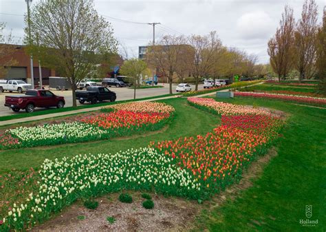 Window on the Waterfront Tulips | Holland, MI