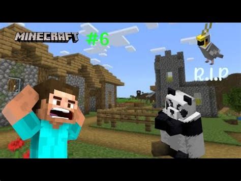 Parrot R I P Village Mein Panda Minecraft Survival Series 6