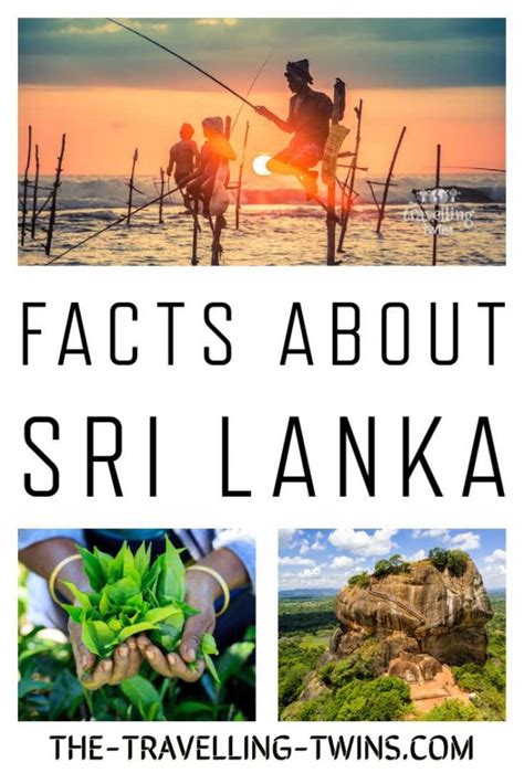 What Is Sri Lanka Famous For Facts About Sri Lanka The Travelling