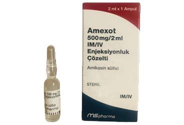 Amexot 500 Mg 2ml Im iv Enjeksiyonluk Cozelti 1 Ampul Fiyatı