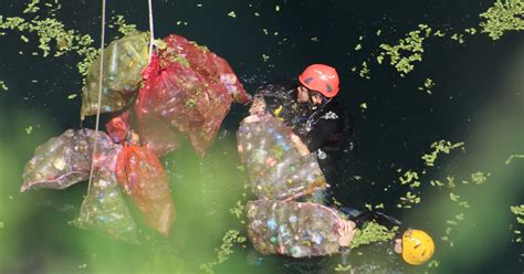 Autoridades sacan desechos de 11 cenotes en Yucatán La Verdad Noticias