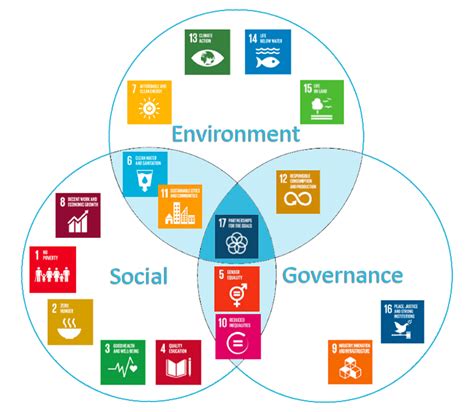 Synery Cmc United Nations Sustainable Development Goals 2030 Agenda