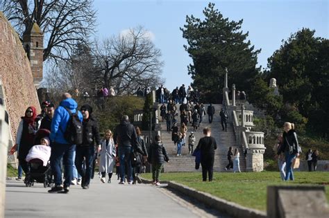 Koliko Ljudi RADI U JAVNOM SEKTORU A KOLIKO KOD PRIVATNIKA Objavljena