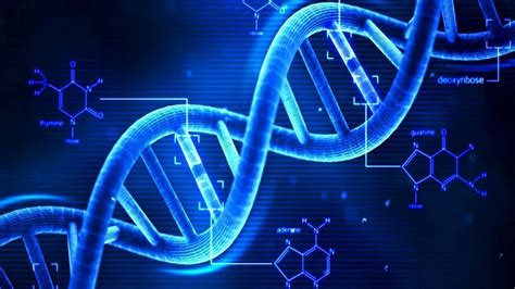 Adn Và Dna Là Gì Những Thông Tin Cơ Bản Mà Bạn Cần Biết Về Adn