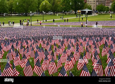 A Memorial Day Display Of United States Of America National Flags In