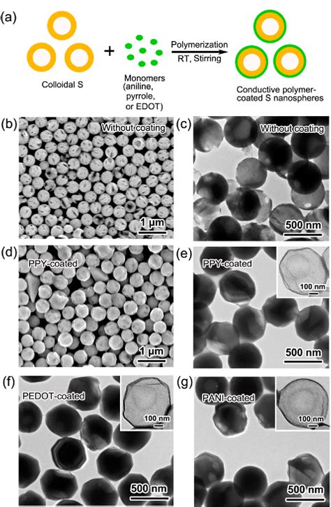 Figure From Understanding The Role Of Different Conductive Polymers