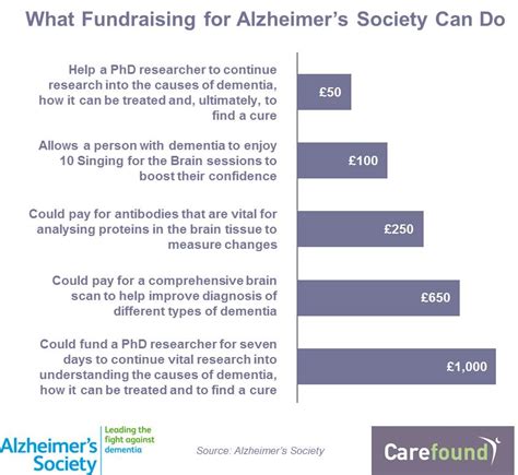 Fundraising For Alzheimers Society Infographic