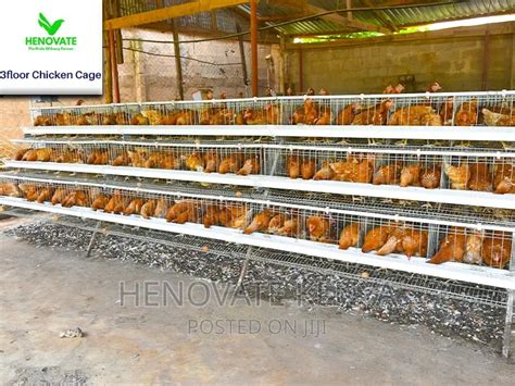 Tiers Birds Layer Cage In Kenya In Ruiru Farm Machinery