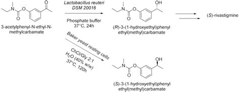 Molecules Free Full Text Combination Of Enzymes And Deep Eutectic