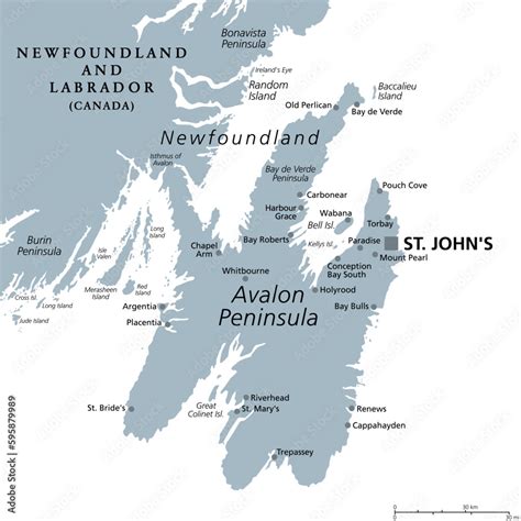 Avalon Peninsula Gray Political Map Portion Of The Island Of Newfoundland Off The Coast Of