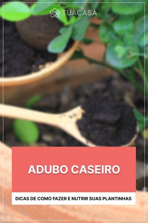 Adubo Caseiro Dicas De Como Fazer E Nutrir Suas Plantinhas Adubo