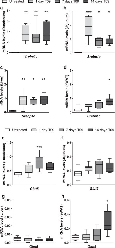 Effect Of LXR Activation By T0901317 Treatment On Glut5 And Srebp1c