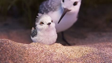 Piper: 12 Things to Know About New Pixar Short Film | Collider