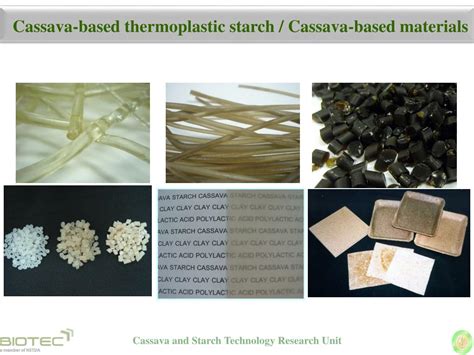 Ppt Promise Of Cassava In Biorefinery Powerpoint Presentation Free