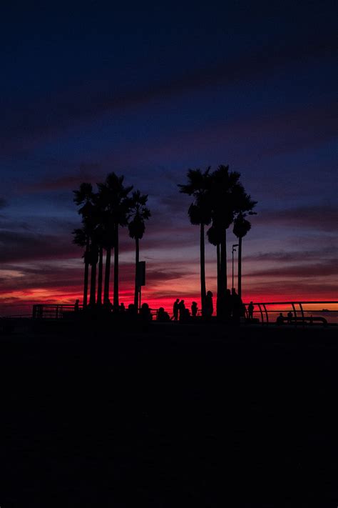 Sunset Silhouette Tropical Palm Tree Hd Wallpaper Peakpx