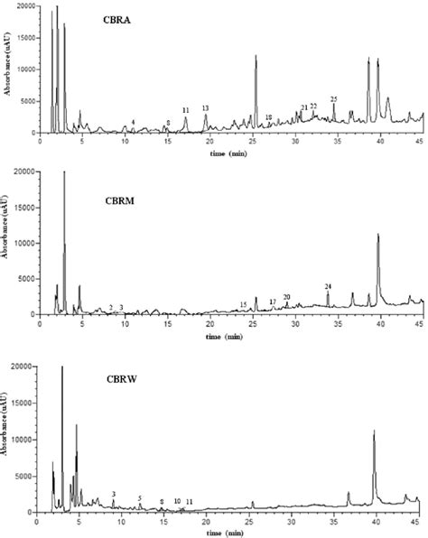 Hplc Dad Chromatograms Of C Bulbosum Root Extracts Cbra C Bulbosum Download Scientific