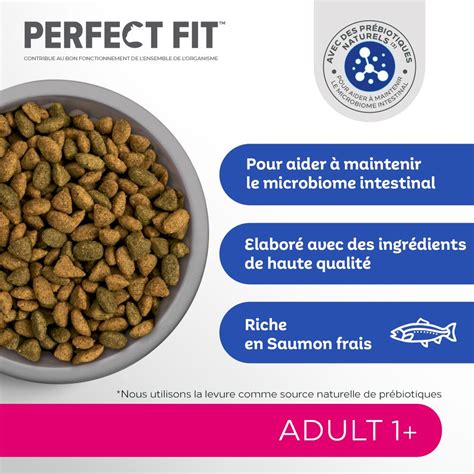 Croquettes Chats Adultes An Et Plus Au Saumon Perfect Fit