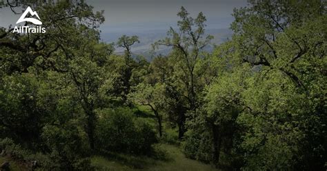 Best trails in Fremont Peak State Park, California | AllTrails