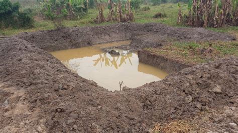 Manual Construction Of Catfish Earthen Pond In Nigeria YouTube