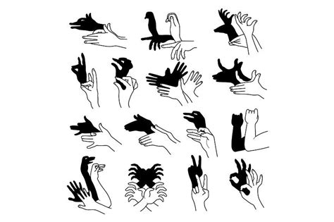 Hands Shadow Theatrical Gestures In 2022 Hand Shadows Shadow